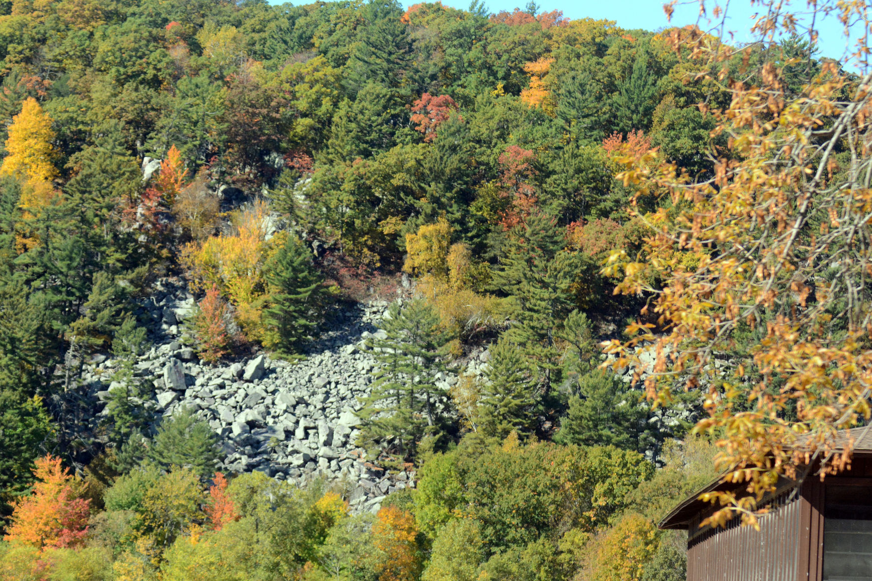 Baraboo area fall color, Oct. 8, 2020